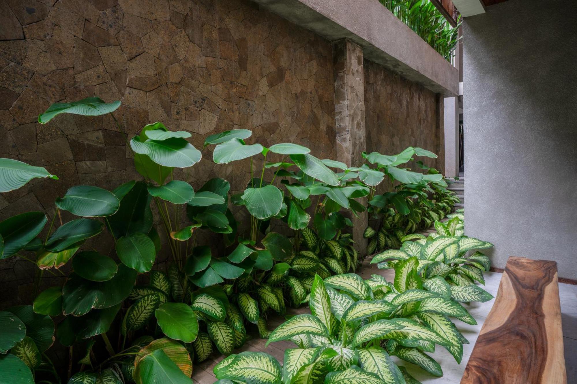Kammora Living And Villas - Bali Invest Club Чангу Экстерьер фото